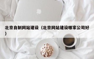 武汉北京自制网站建设（北京网站建设哪家公司好）